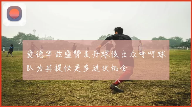 爱德华兹盛赞麦丹球技出众呼吁球队为其提供更多进攻机会