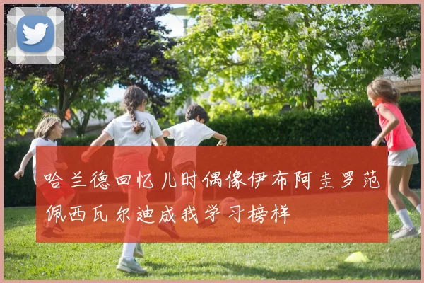 哈兰德回忆儿时偶像伊布阿圭罗范佩西瓦尔迪成我学习榜样