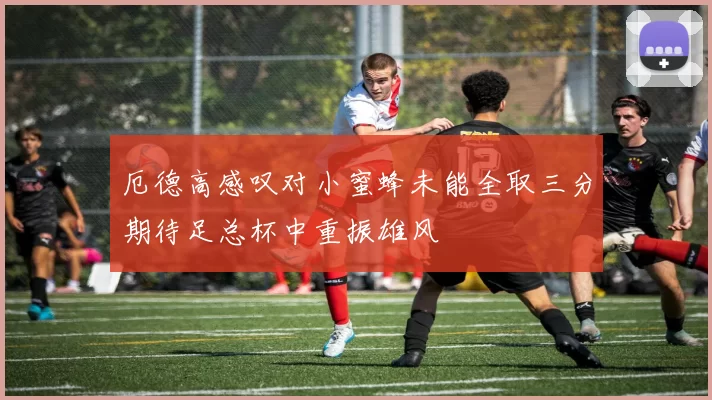 厄德高感叹对小蜜蜂未能全取三分期待足总杯中重振雄风